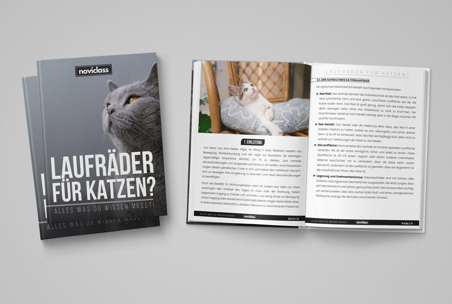 Katzenlaufrad 'Baghira' XXL Groß 120cm Innendurchmesser